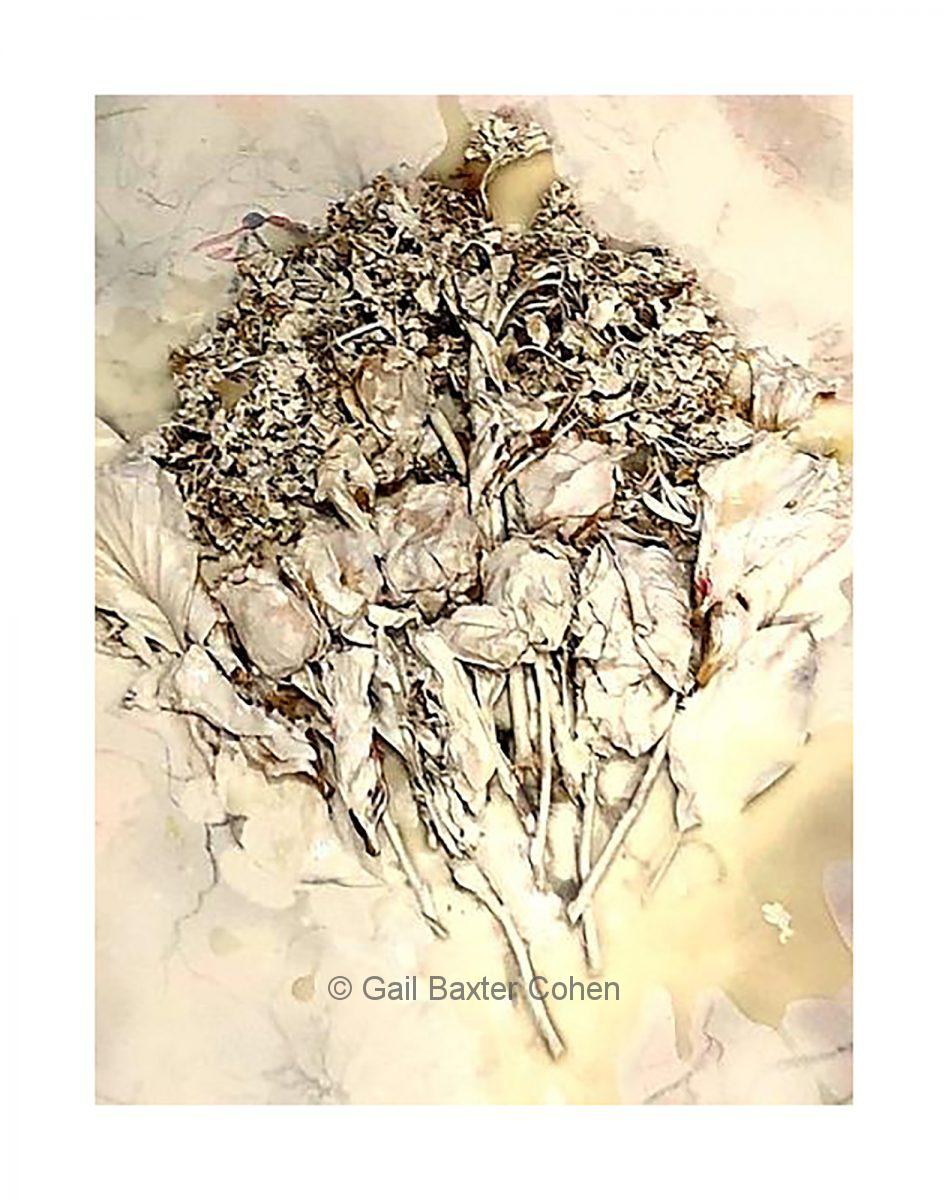 Gail Baxter Cohen - Floral Encaustic