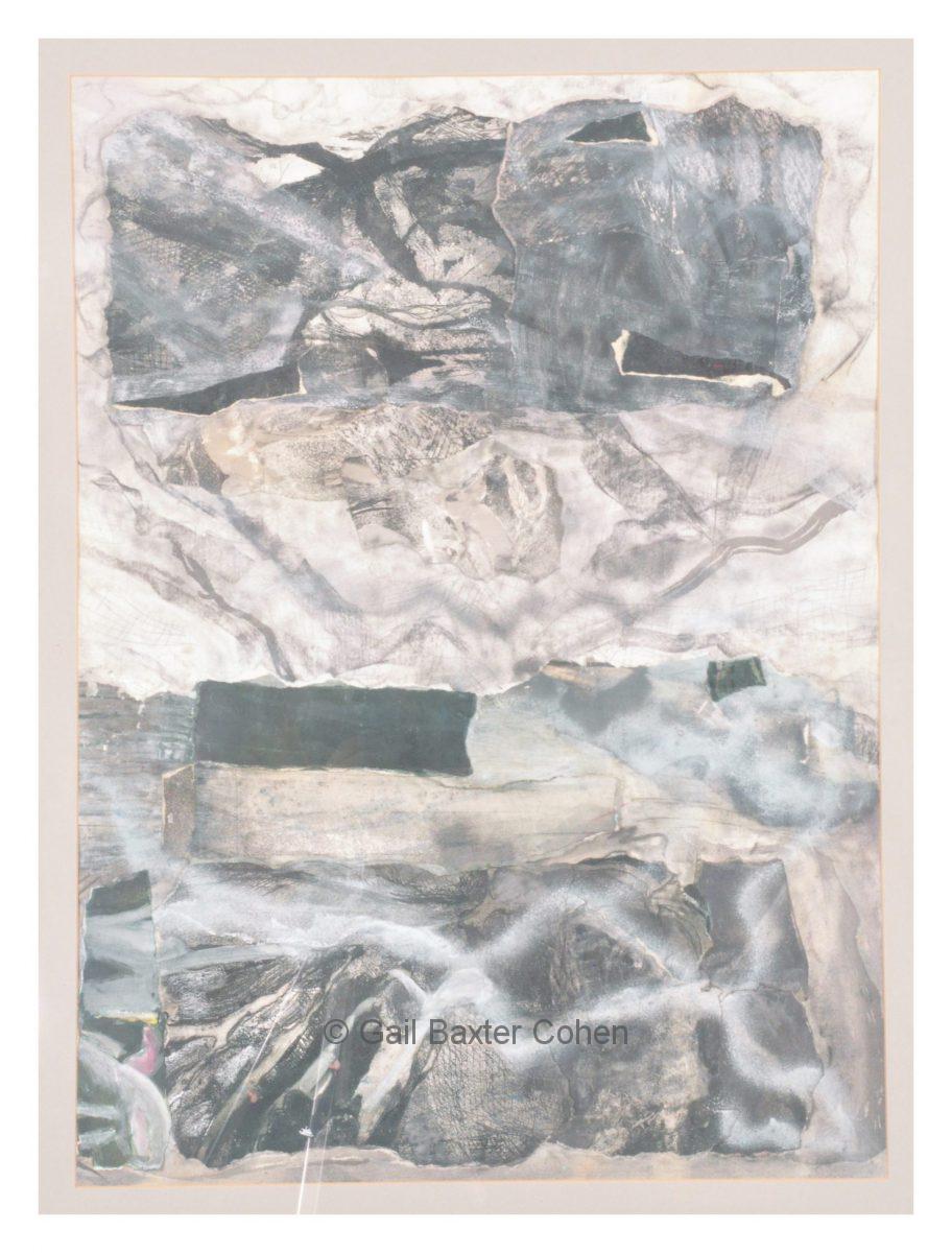 Gail Baxter Cohen - Flat Prints