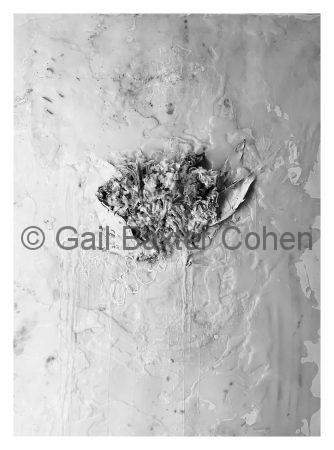 Gail Baxter Cohen - Nature Morte 2