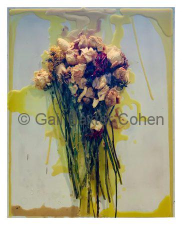 Gail Baxter Cohen - Nature Morte 3