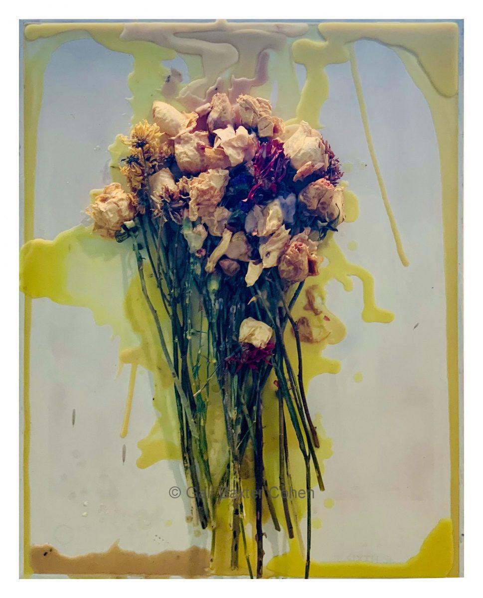 Gail Baxter Cohen - Nature Morte 3