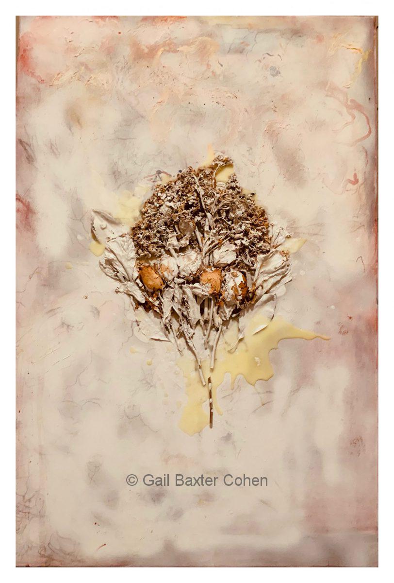 Gail Baxter Cohen - Nature Morte