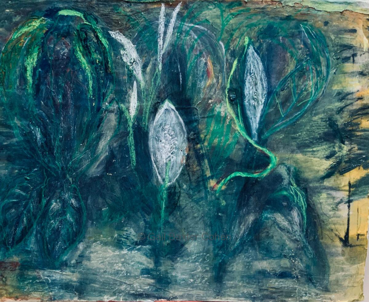 Gail Baxter Cohen - Green Plants