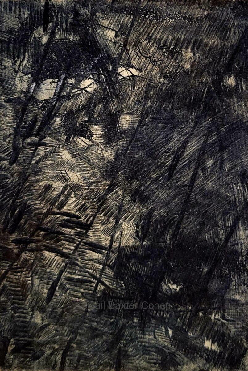 Gail Baxter Cohen - Black Abstract 1