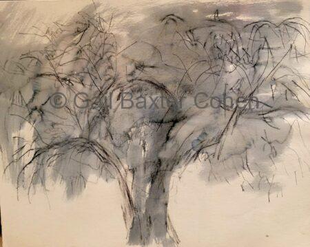 Gail Baxter Cohen - Winter Tree In Snow
