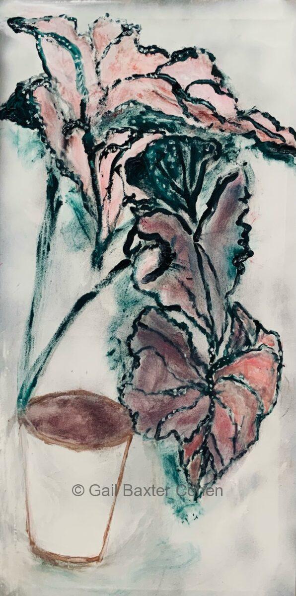 Gail Baxter Cohen - Caladium
