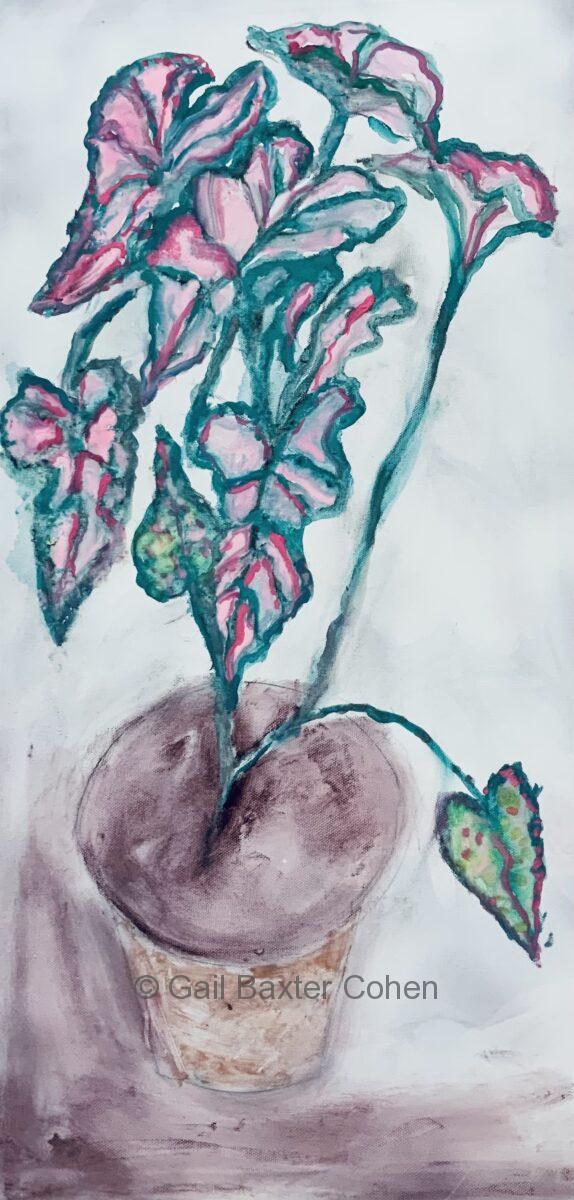 Gail Baxter Cohen - Caladium