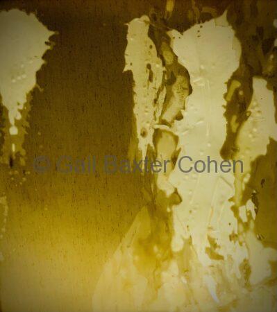 Gail Baxter Cohen - Fire