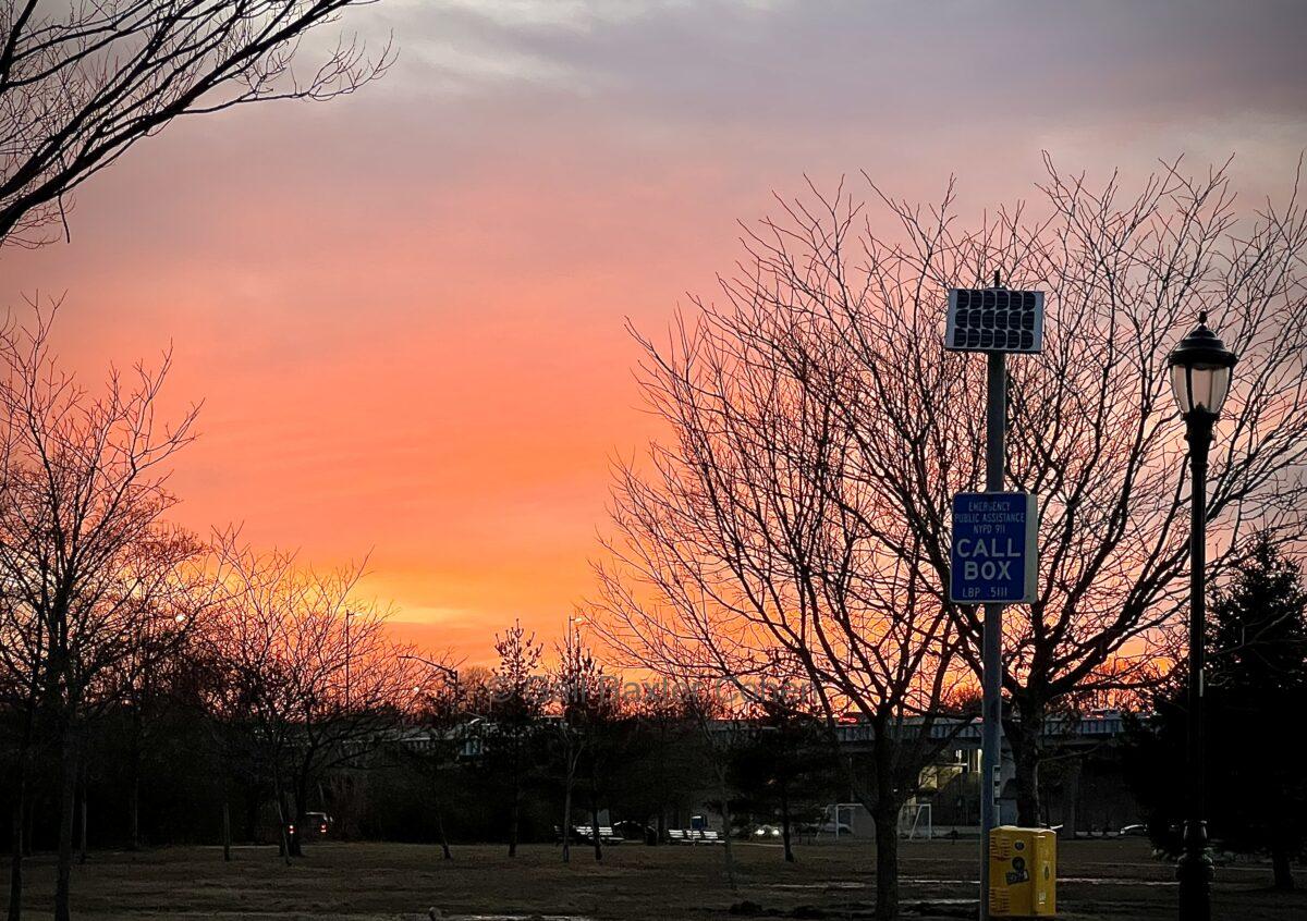 Gail Baxter Cohen - Sunset at the Park