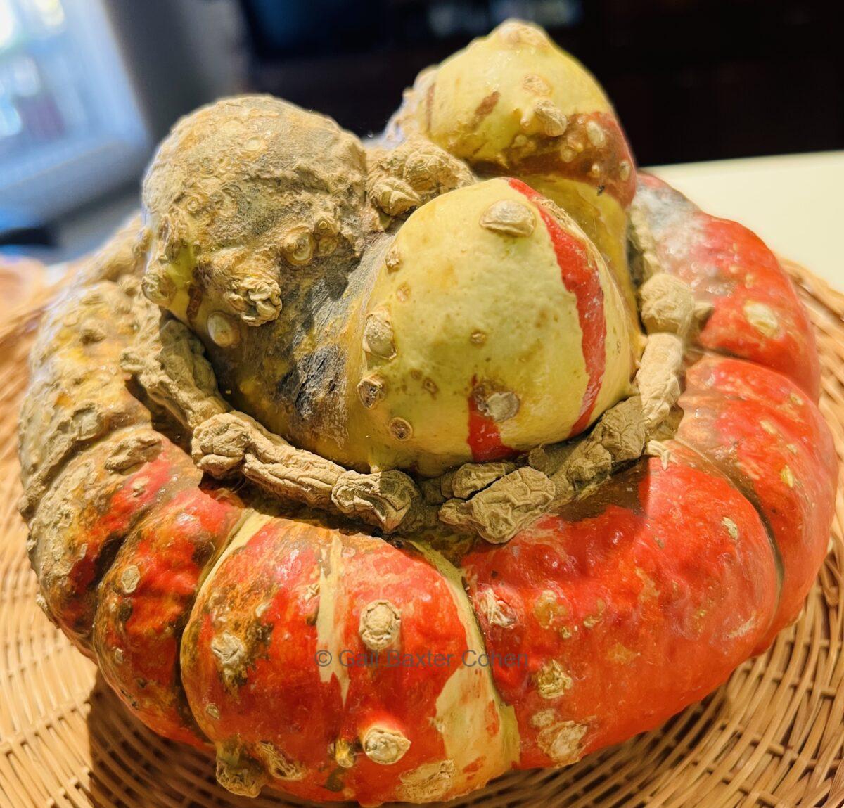 Gail Baxter Cohen - The Pumpkin with 3 heads