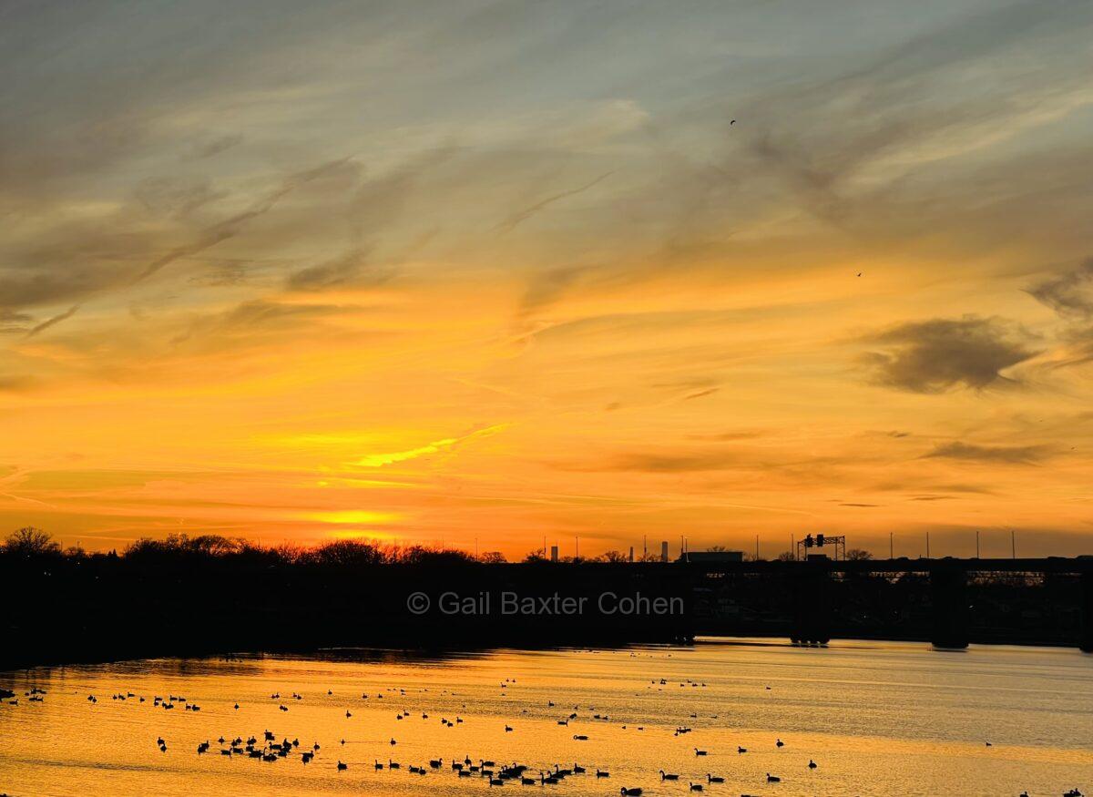 Gail Baxter Cohen - Sunset at Little Bay