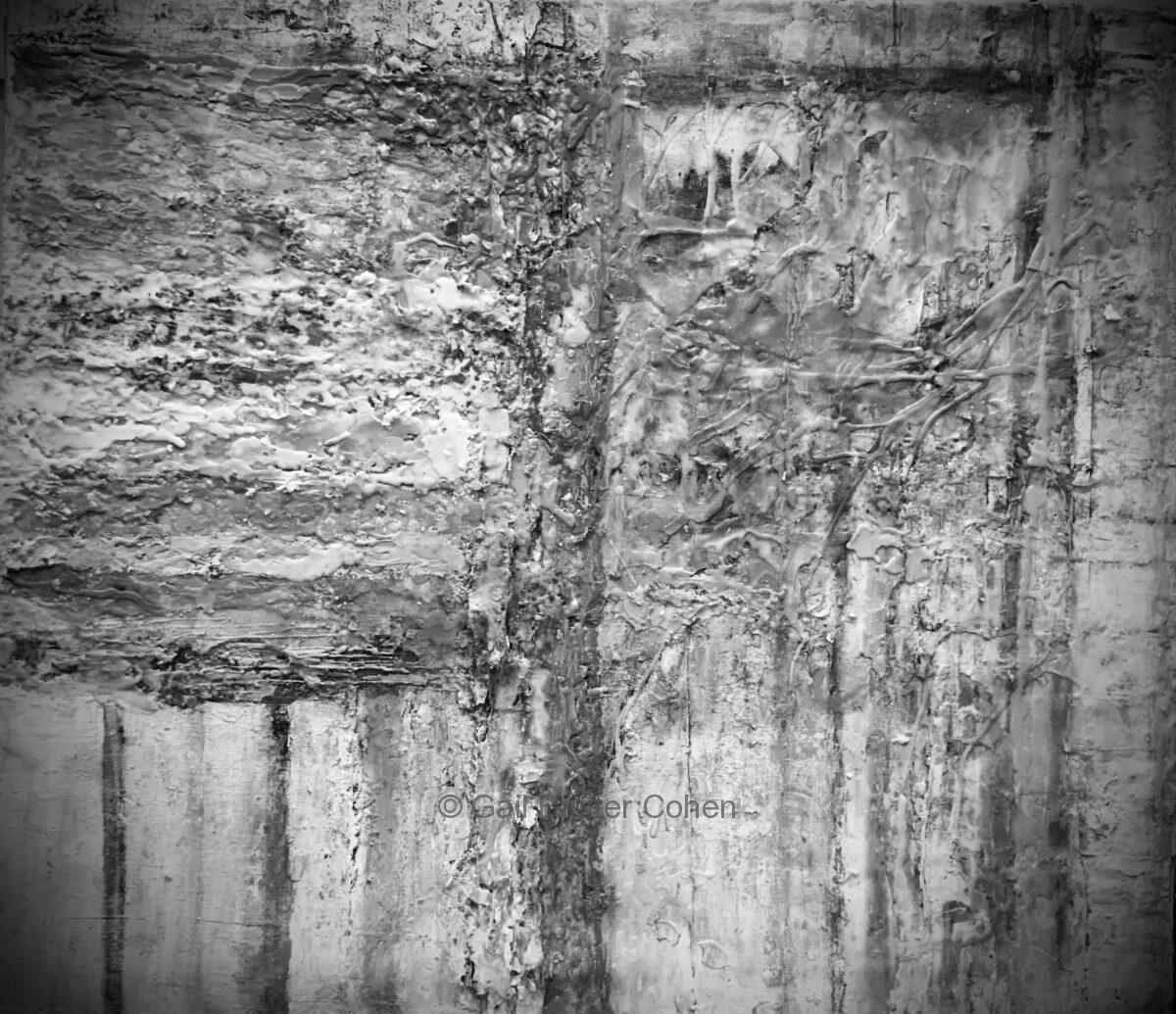 Gail Baxter Cohen - November