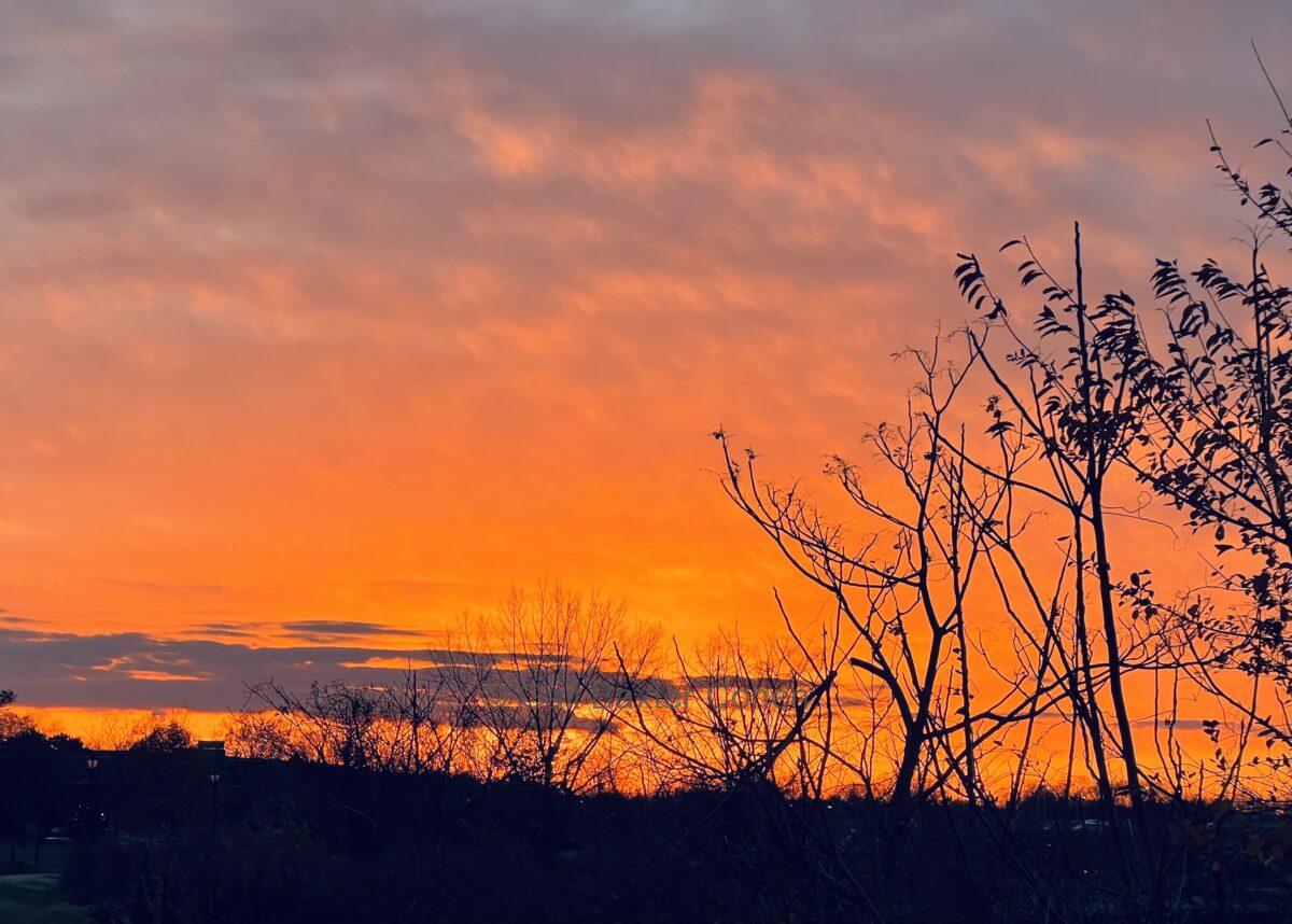 Gail Baxter Cohen - Sun Down