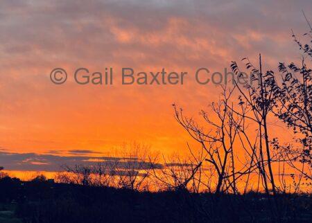 Gail Baxter Cohen - Sun Down