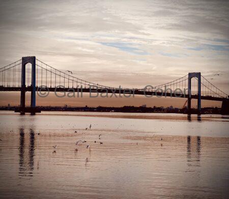 Gail Baxter Cohen - Birds By the Bridge